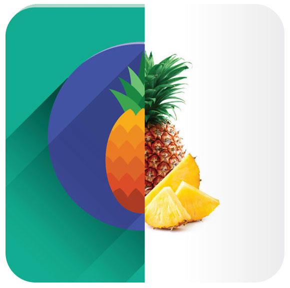 فلت دیزاین چیست؟