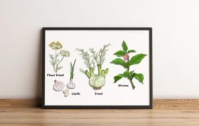 فایل گرافیکی کاراکتر گیاهان Natural Herb