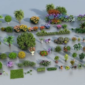 مجموعه آبجکت سه بعدی گیاهان برای ۳dmax