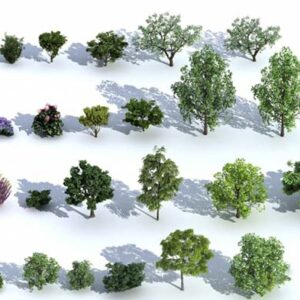 مجموعه مدل سه بعدی درخت چنار برای 3dmax