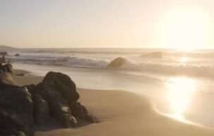 ویدیو استوک ساحل و نور خورشید Stock Videos
