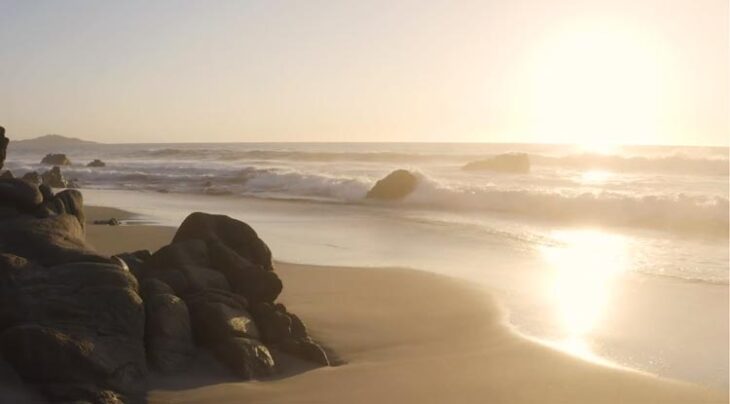 ویدیو استوک ساحل و نور خورشید Stock Videos