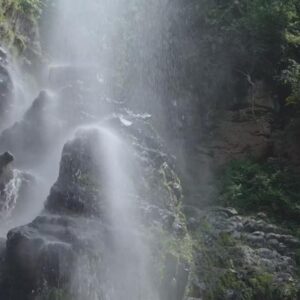ویدیو استوک آبشار در جنگل Stock Videos