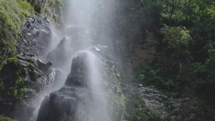 ویدیو استوک آبشار در جنگل Stock Videos