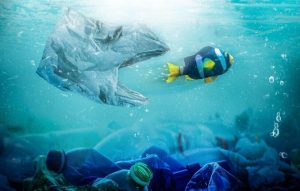 آثار پلاستیک بر محیط زیست و سلامت انسان