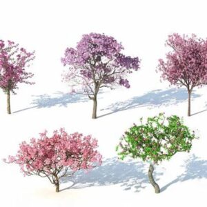 دانلود مدل سه بعدی درخت برای تری دی مکس