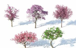 دانلود مدل سه بعدی درخت برای تری دی مکس