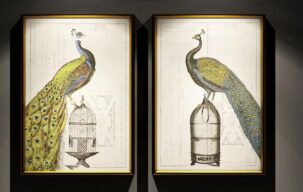 تابلوی نقاشی طاووس برای تری دی مکس
