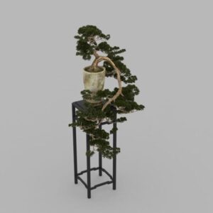 دانلود مدل گیاه سه بعدی برای 3dmax